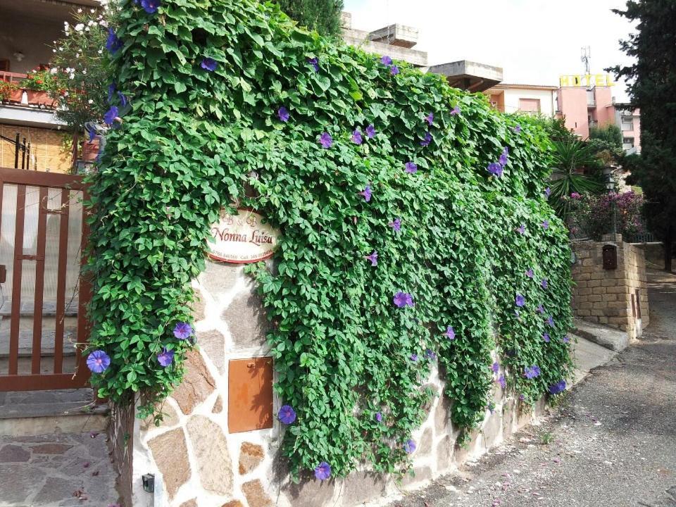 B&B Nonna Luisa ตาร์กวิเนีย ภายนอก รูปภาพ